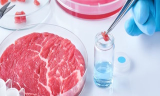 Лабораторный анализ пищевых продуктов по СанПиН в Махачкале в октябре