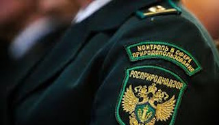 Подготовка к проверке Росприроднадзора в Махачкале от ПромМир, стоимость услуги от 20710 руб.